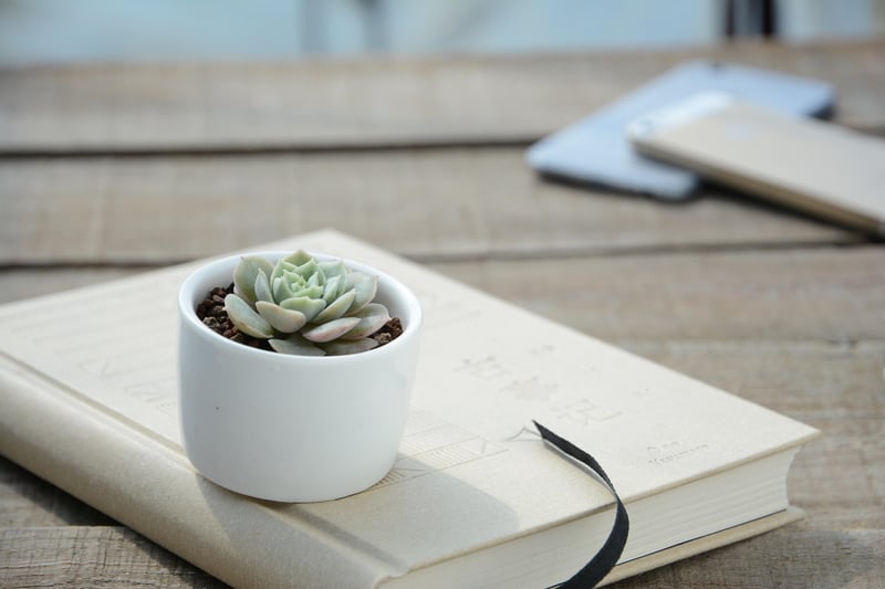 Vintage Book Planter